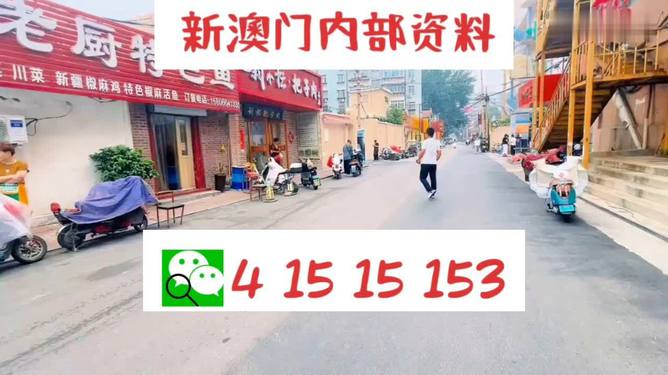 新澳門天天開好彩精準(zhǔn)預(yù)測——邁向成功的秘訣與策略（SEO優(yōu)化文章），澳門天天開好彩，成功秘訣與策略揭秘（SEO優(yōu)化文章）