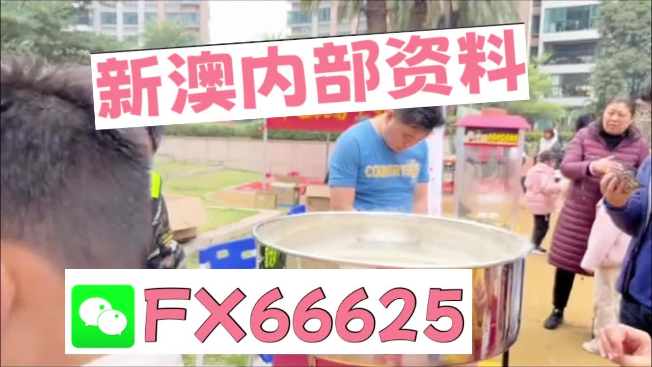 新奧2025資料大全最新版本，全面解析與深度洞察，新奧2025資料大全最新版，全面解析與深度洞察報(bào)告