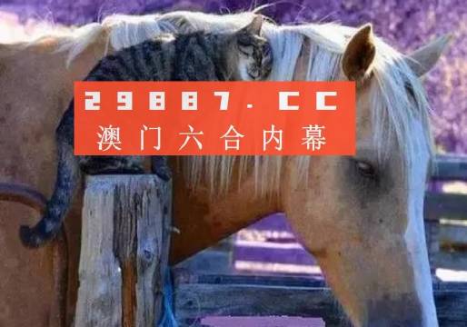 澳門一肖一碼一待一中四不像，探索與解析，澳門一肖一碼一待一中四不像，深度解析與探索