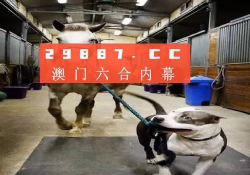 澳門一肖一碼一必中一肖，同舟前進的奧秘與策略，澳門一肖一碼必中策略與前進奧秘，同舟共濟的揭秘與策略