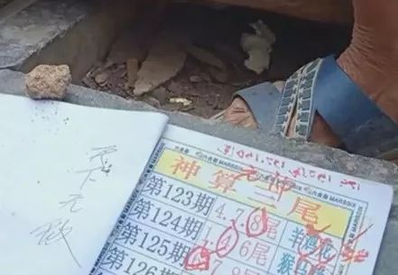 香港中特期期準(zhǔn)資料，深度解析與探索，香港中特期期準(zhǔn)資料深度解析與探索報(bào)告