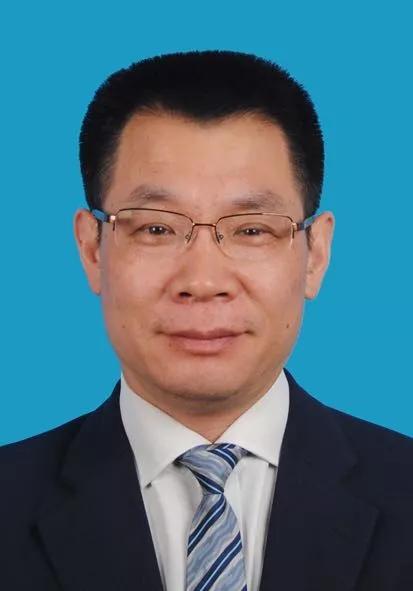 2024新奧正版資料免費(fèi)獲取指南，2024新奧正版資料免費(fèi)獲取攻略