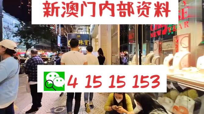 探索未來，2025新澳最新版精準特色解析，探索未來，揭秘新澳最新版精準特色解析（2025版）