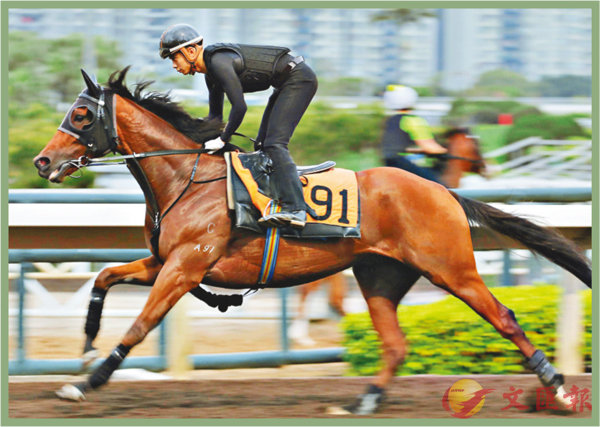 香港賽馬，探索數(shù)字背后的激情與榮耀，香港賽馬，數(shù)字背后的激情與榮耀之旅
