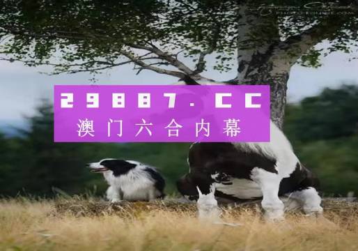 澳門(mén)天天空彩官網(wǎng)資料，探索彩票世界的門(mén)戶(hù)，澳門(mén)天天空彩官網(wǎng)資料，彩票世界探索門(mén)戶(hù)