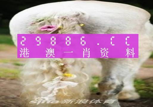 澳門羊了個羊與各大圖庫的資料揭秘，2023年澳門今晚必中一肖一碼永久免費資料庫大解密，澳門羊了個羊與資料庫揭秘，2023年必中一肖一碼永久免費資料大解密
