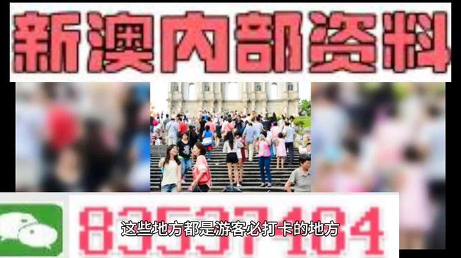 新澳天天開獎資料大全旅游團(tuán)——探索澳門的魅力之旅，澳門魅力探索之旅，新澳天天開獎資料大全旅游團(tuán)