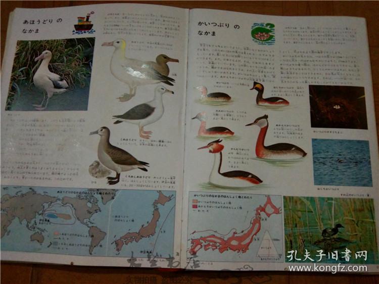 今日正版跑狗圖分享，探索7777788888跑狗圖的魅力，今日正版跑狗圖分享，探索魅力十足的777778跑狗圖