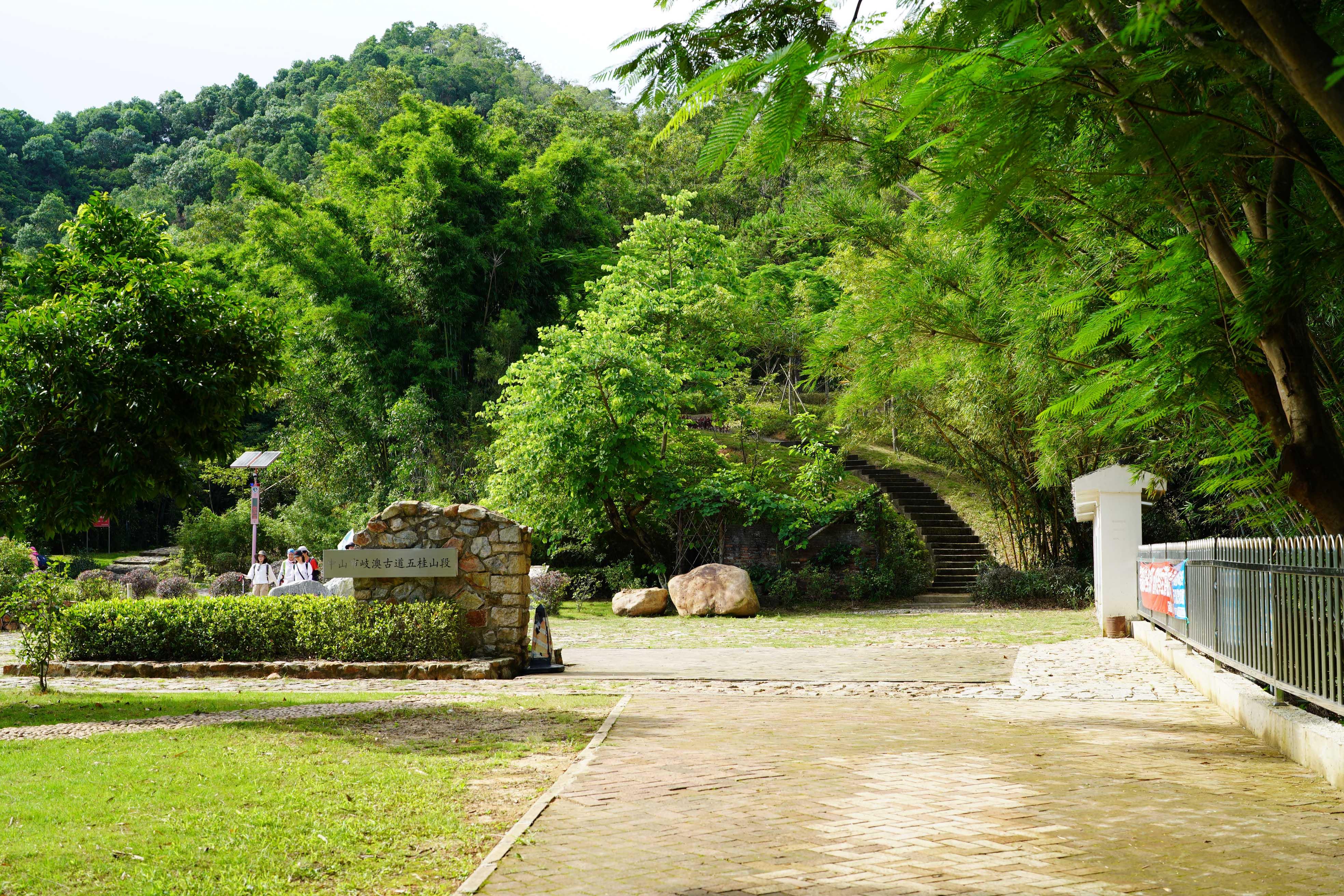 新澳門(mén)彩生肖走勢(shì)圖，探索與解讀彩票背后的秘密，探索解讀新澳門(mén)彩生肖走勢(shì)圖，彩票背后的秘密揭秘