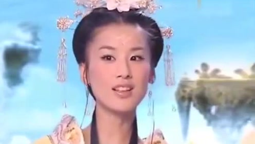 曾道道人資料免費大全，深度探索與解析，曾道道人資料深度解析與免費大全探索