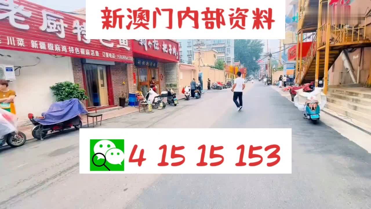 新奧門資料大全正版資料2024，全面解析澳門資訊，澳門資訊全面解析，新奧門資料正版大全 2024版