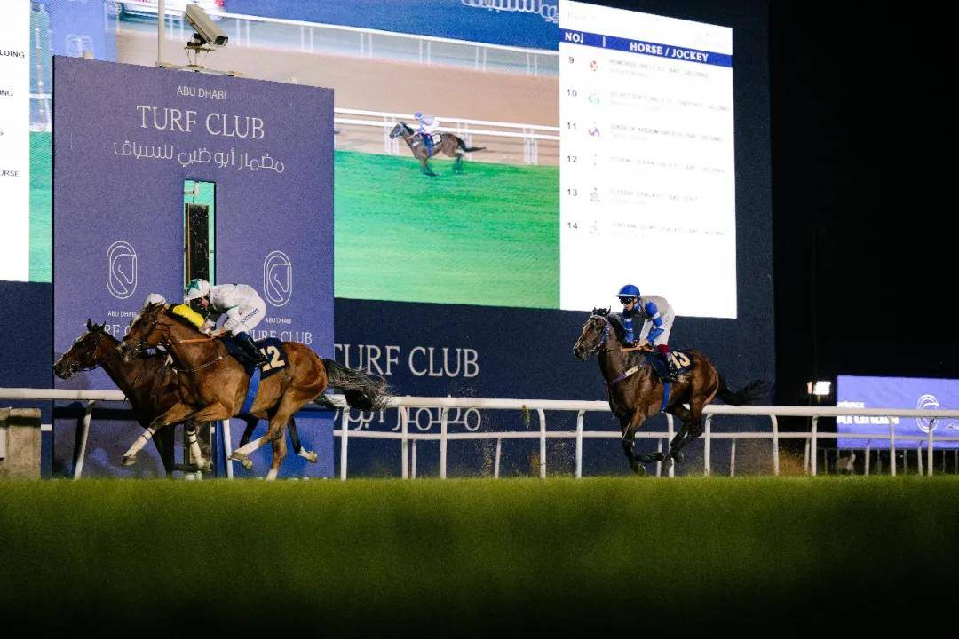 澳門特馬今晚開獎一，探索彩票背后的秘密與期待，澳門特馬今晚開獎，揭秘彩票背后的秘密與期待大獎的激動心情