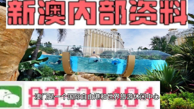 新澳的資料去哪里找——全面指南，新澳資料全攻略，尋找資料的途徑與指南