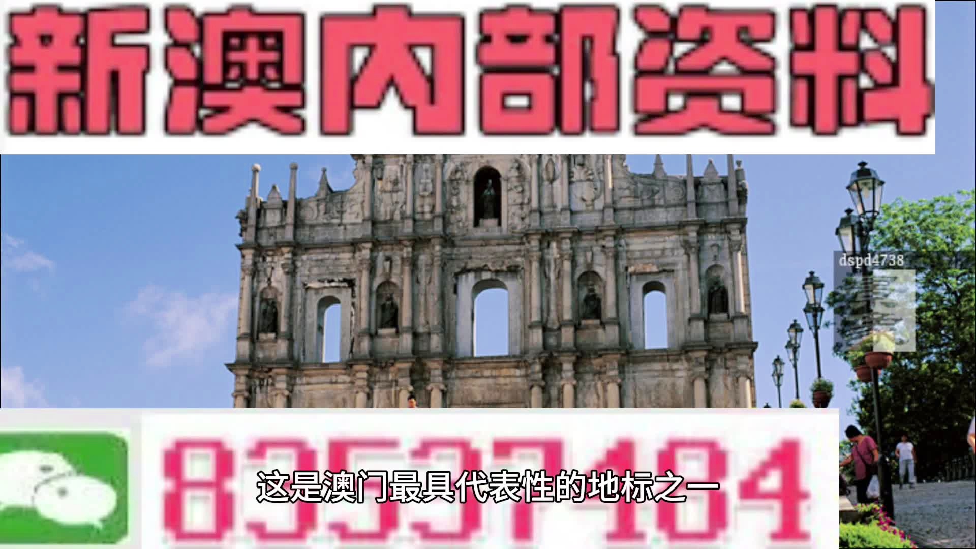 2025新澳今晚資料揭秘，12生肖運勢與特點展望，2025新澳今晚資料揭秘，揭秘十二生肖運勢展望與特點