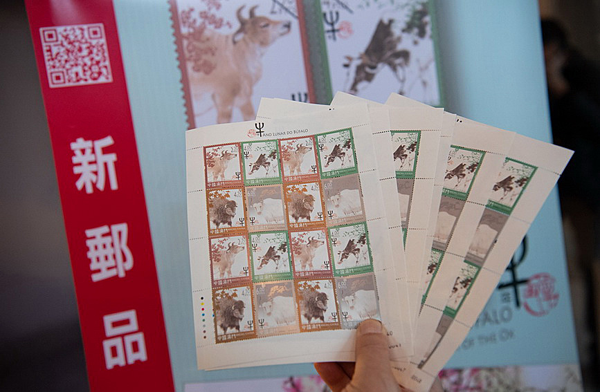 澳門值日生肖600圖庫與八百圖庫開獎，探索生肖圖庫的魅力與奧秘，澳門生肖圖庫開獎揭秘，探索值日生肖600圖庫與八百圖庫的魅力與奧秘
