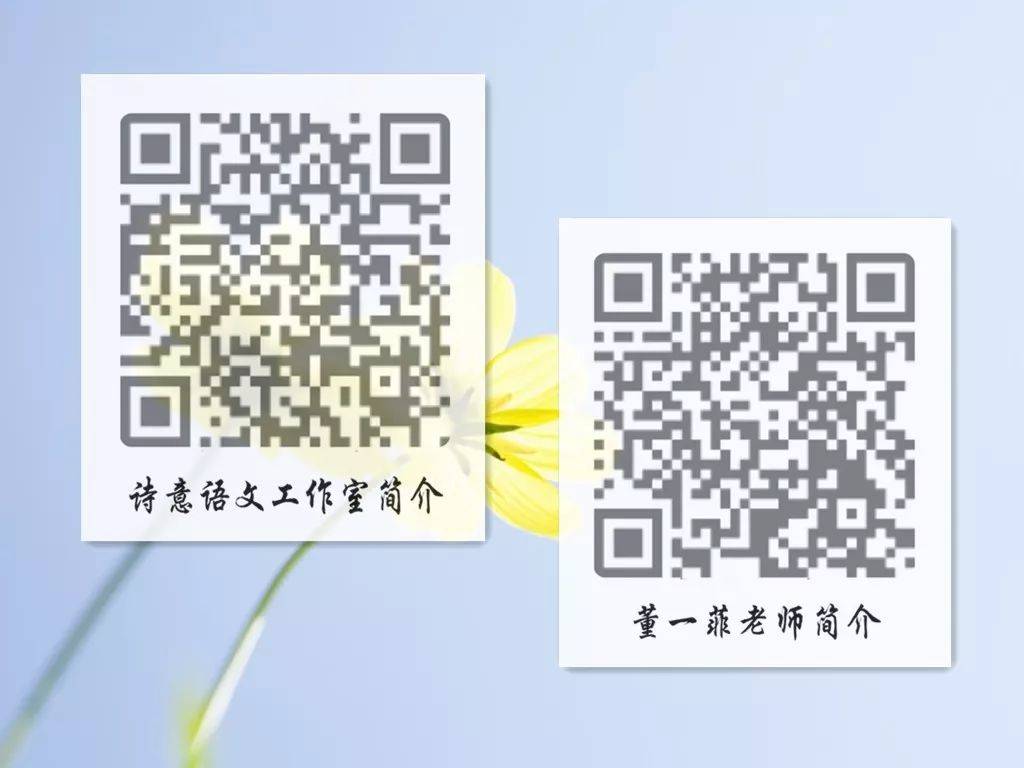一碼一肖一特一，揭秘背后的秘密與獨特之處，揭秘一碼一肖一特一的獨特之處與背后秘密