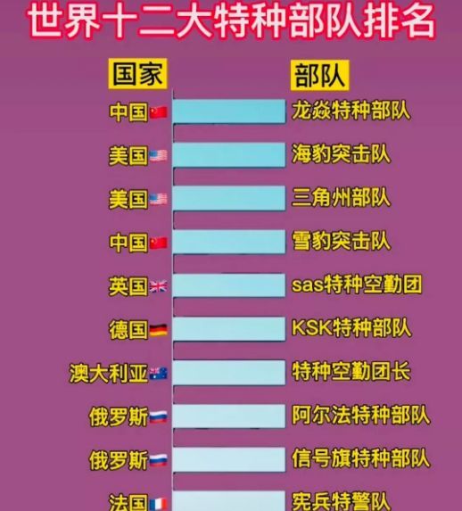 中國(guó)十大王牌特種部隊(duì)，實(shí)力與榮耀的象征，中國(guó)十大王牌特種部隊(duì)，實(shí)力與榮耀的巔峰標(biāo)志