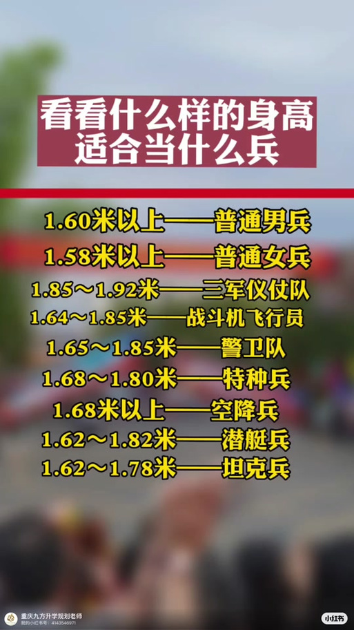儀仗兵身高標(biāo)準(zhǔn)，探究與解析，儀仗兵身高標(biāo)準(zhǔn)，探究與詳解
