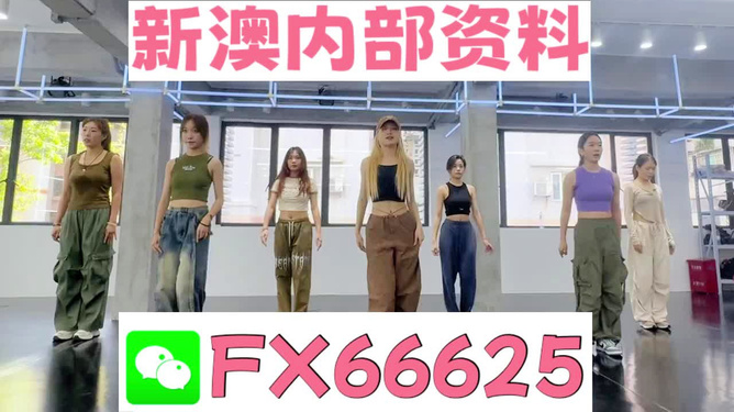 新澳持碼會資料詳解，新澳持碼會資料全面解析