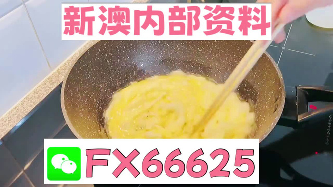 澳門九點半9點半網(wǎng)站——探索與體驗，澳門九點半網(wǎng)站，探索與體驗之旅