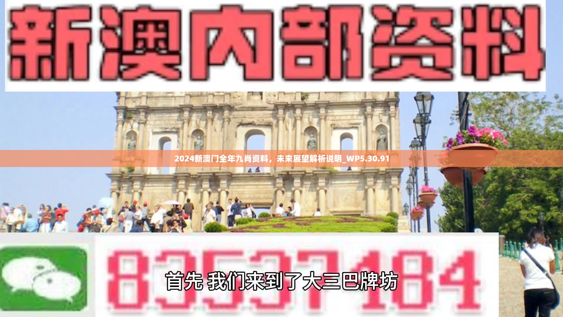 新澳門精準(zhǔn)九肖，揭秘預(yù)測技巧與策略，揭秘新澳門精準(zhǔn)九肖預(yù)測技巧與策略