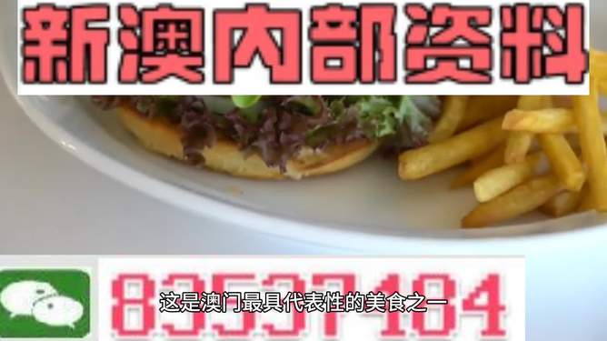 新澳2024生肖最新資料解析與預測，新澳2024生肖解析與預測報告