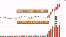 王中王一肖平碼，揭秘背后的故事與SEO策略，王中王一肖平碼背后的故事與SEO策略揭秘