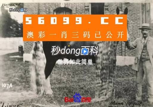 澳門王中王心水王中王，探索與解析，澳門王中王心水奧秘，深度探索與解析