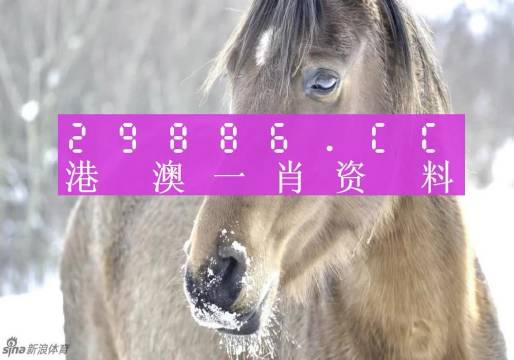 澳門一肖一碼背后的故事，一個(gè)關(guān)于精準(zhǔn)預(yù)測(cè)與傳奇的揭秘，澳門一肖一碼傳奇背后的精準(zhǔn)預(yù)測(cè)與揭秘之旅