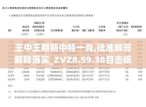 王中王一肖期期中，揭秘背后的秘密與策略，揭秘王中王一肖期期中的秘密策略與成功之道