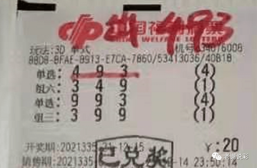 新奧門彩天天開(kāi)獎(jiǎng)資料一網(wǎng)羅萬(wàn)象，揭秘彩票奧秘，揭秘彩票奧秘，新奧門彩天天開(kāi)獎(jiǎng)資料一網(wǎng)羅萬(wàn)象