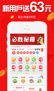 王中王欲錢請猜一肖，揭秘生肖之謎與SEO策略，揭秘生肖之謎與SEO策略，王中王欲錢請猜一肖的奧秘
