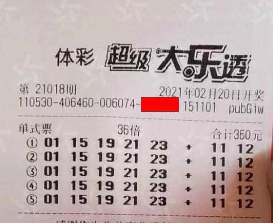 王中王018期指一生肖，揭秘背后的奧秘與意義，揭秘生肖奧秘，王中王生肖背后的意義與秘密