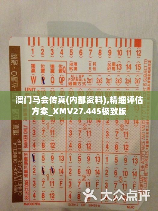 馬會傳真正版，探索正版馬會文化的魅力與價值，正版馬會文化的魅力與價值探索