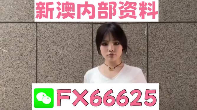 澳門正版資料大全完整版，探索與揭秘2025年澳門正版資料的世界，澳門正版資料大全揭秘，探索未來(lái)至2025年的奧秘世界