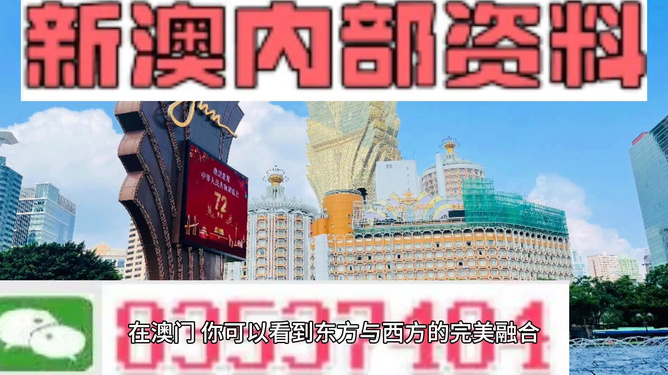 新澳新澳門正版資料，探索與解析，新澳新澳門正版資料深度解析與探索