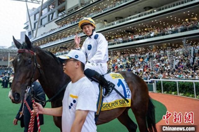 香港特馬王資料免費公開，揭秘背后的秘密，香港特馬王資料揭秘，免費公開背后的秘密