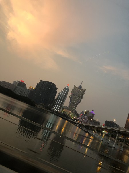 澳門今晚必開一肖一特，深度解析與預測，澳門今晚生肖特碼深度解析與預測，一肖一特必開趨勢探討