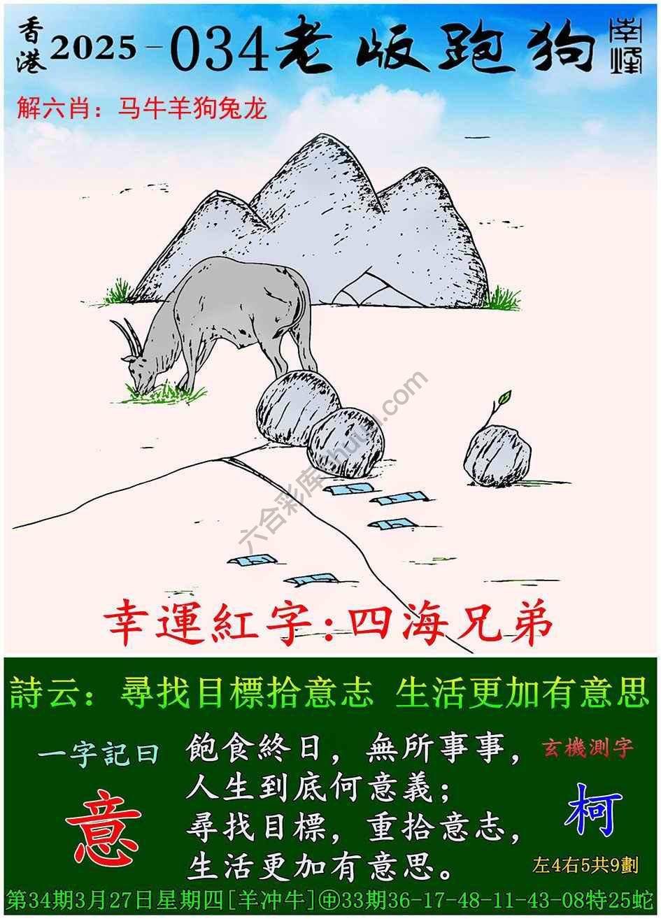 全新升級！探索7777788888新版跑狗資料，全新升級！探索跑狗資料7777788888新版揭秘