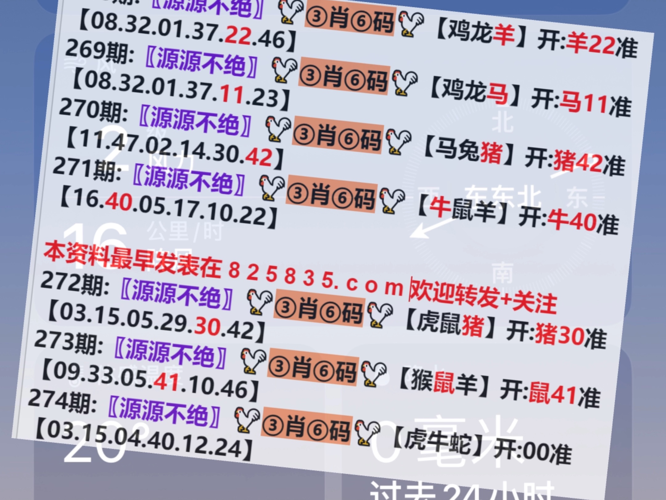 澳門一肖一碼開獎結(jié)果，揭秘彩票背后的秘密，澳門彩票開獎結(jié)果揭秘，一肖一碼背后的秘密