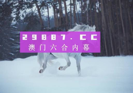 澳門風采，探索142期澳門的獨特魅力，澳門風采，探索第142期獨特魅力之旅