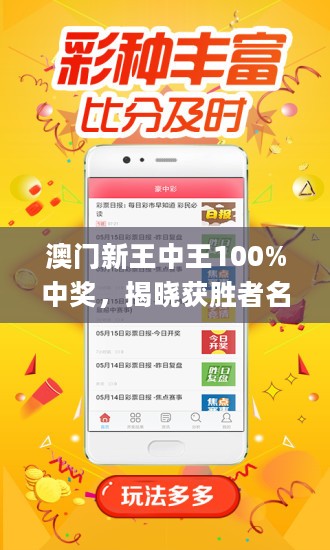 王中王藏寶閣猜一肖，揭秘背后的秘密與SEO策略，王中王藏寶閣猜一肖背后的秘密與SEO策略揭秘