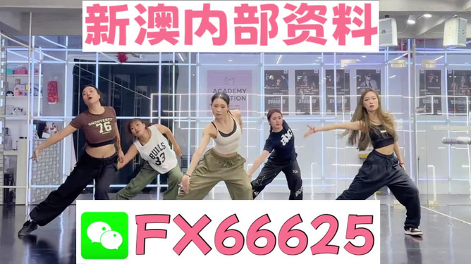 王中王內(nèi)部透肖一肖二碼，深度解析與探索，王中王內(nèi)部透肖一肖二碼深度解析與探索揭秘
