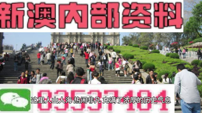 澳門最精準(zhǔn)免費(fèi)資料大全旅游團(tuán)，探索澳門之旅的完美選擇，澳門最精準(zhǔn)免費(fèi)資料大全旅游團(tuán)，探索澳門之旅的不二之選