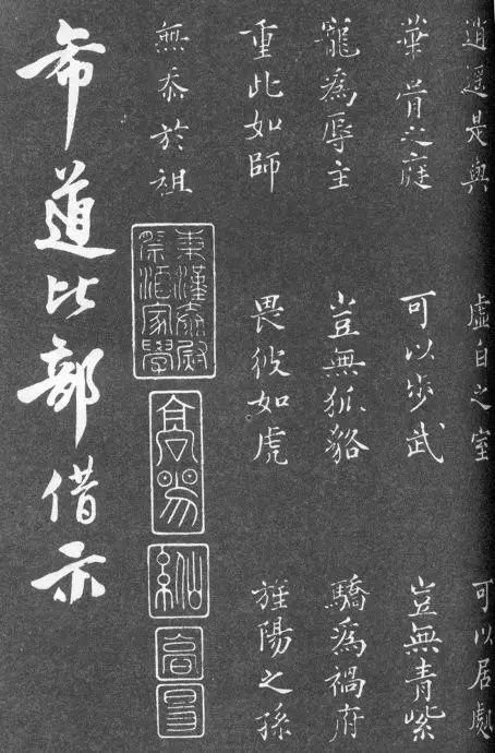 一肖二碼中特的意思解析，一肖二碼中特的意思深度解析