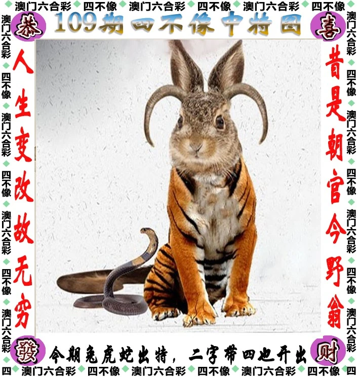 四不像王中王資料一肖，深度解析與探索，四不像王中王資料一肖，深度解析與探索揭秘