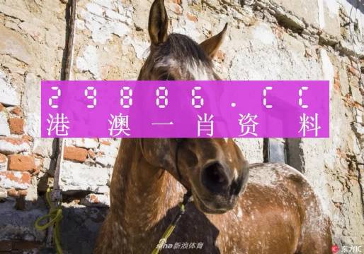 王中王資料一門肖中，深度解析與探索，王中王資料一門肖詳解，深度解析與探索