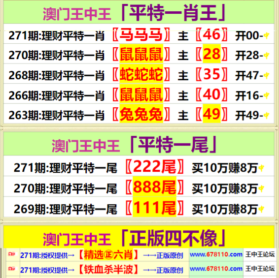 王中王開獎一馬中特二肖，探索彩票奧秘與策略，彩票奧秘探索，王中王開獎與一馬中特二肖的策略分析