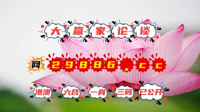 王中王資料提供一肖中特，深度解析與SEO優(yōu)化策略，王中王資料揭秘，一肖中特深度解析與SEO優(yōu)化策略全攻略