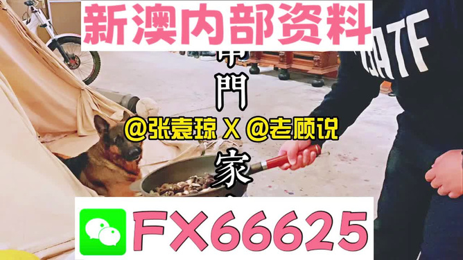 新澳門精準資料大全，管家婆料解析與探索，澳門精準資料大全，管家婆料解析與深度探索